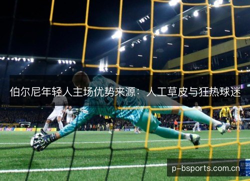 伯尔尼年轻人主场优势来源:人工草皮与狂热球迷 伯尔尼年轻人主场优势来源:人工草皮与狂热球迷